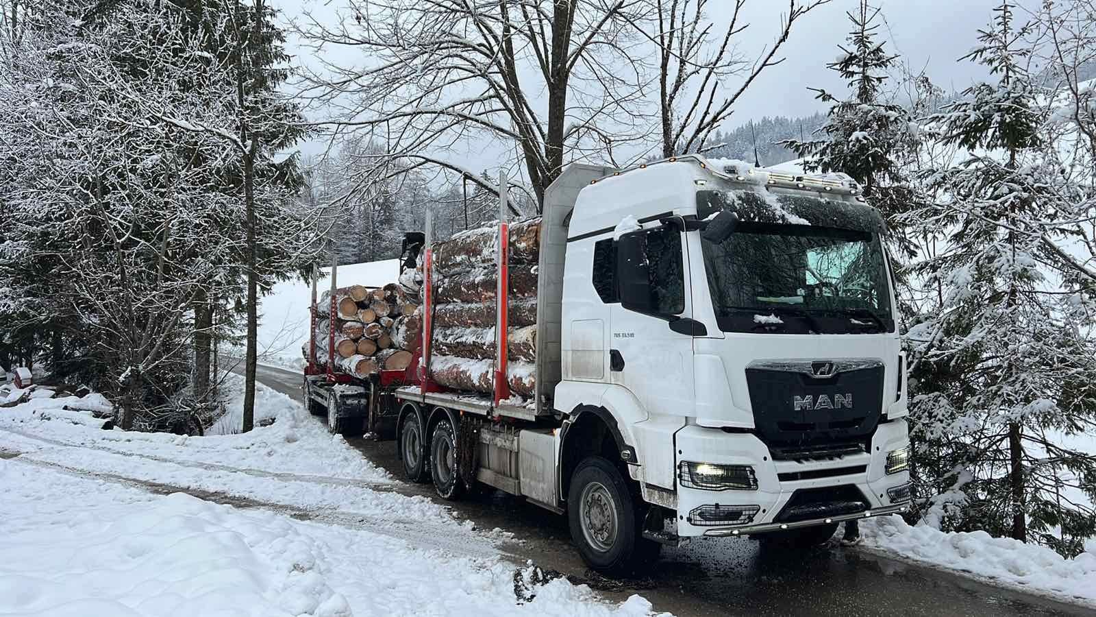 Za obnovo koroških gozdnih cest po ujmi doslej izplačanih 10,8 milijona evrov 