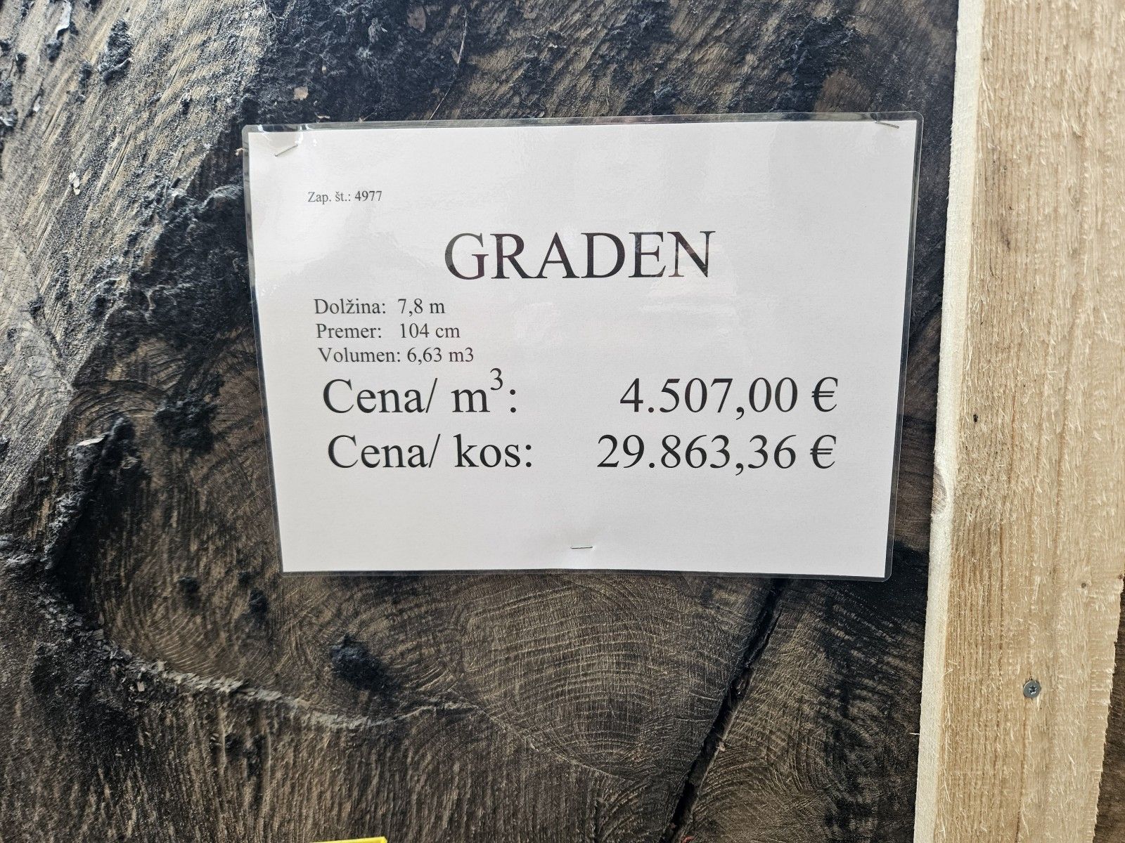 Zmagovalec koroške licitacije hlod hrasta s Hrvaške z rekordno ceno blizu 30.000 evrov