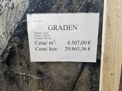 Zmagovalec koroške licitacije hlod hrasta s Hrvaške z rekordno ceno blizu 30.000 evrov