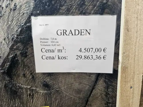 Zmagovalec koroške licitacije hlod hrasta s Hrvaške z rekordno ceno blizu 30.000 evrov
