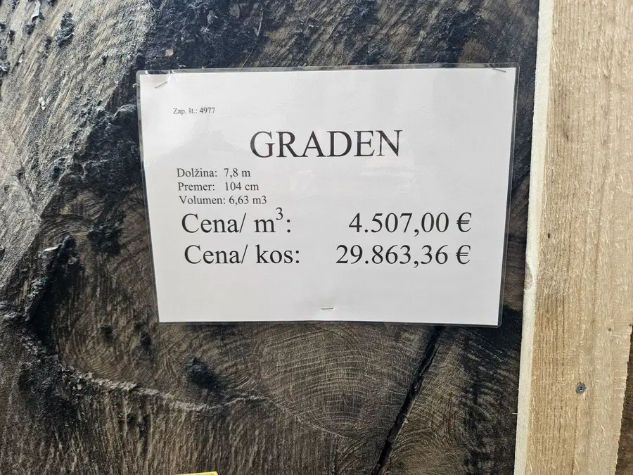 Zmagovalec koroške licitacije hlod hrasta s Hrvaške z rekordno ceno blizu 30.000 evrov