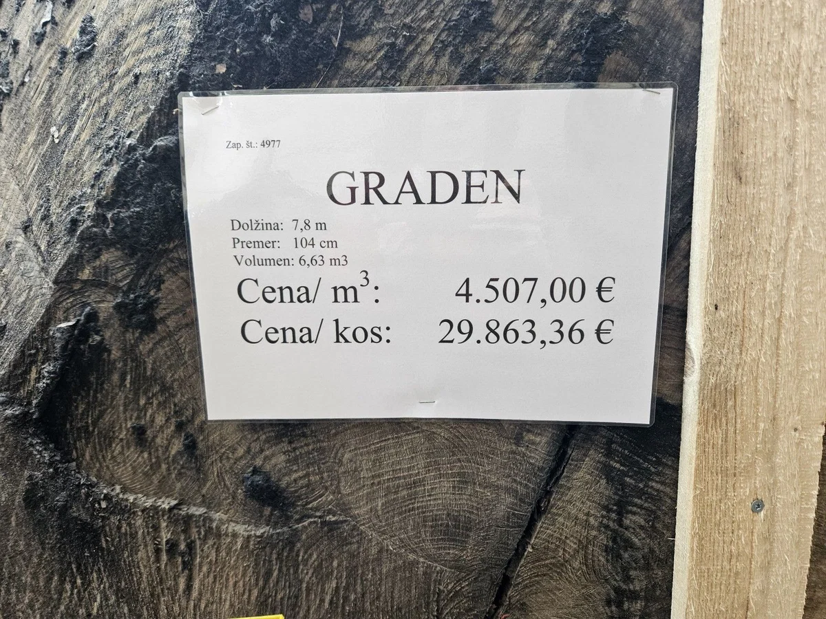 Zmagovalec koroške licitacije hlod hrasta s Hrvaške z rekordno ceno blizu 30.000 evrov