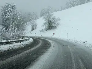 Na Koroškem smo se zbudili v zasneženo jutro