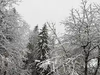 Gorska reševalna služba Koroške: Možnost za proženje plazov je velika