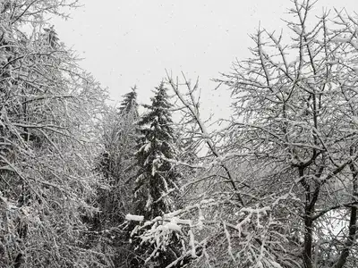 Gorska reševalna služba Koroške: Možnost za proženje plazov je velika