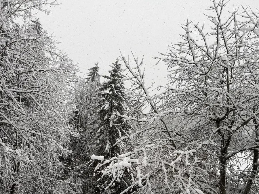 Gorska reševalna služba Koroške: Možnost za proženje plazov je velika