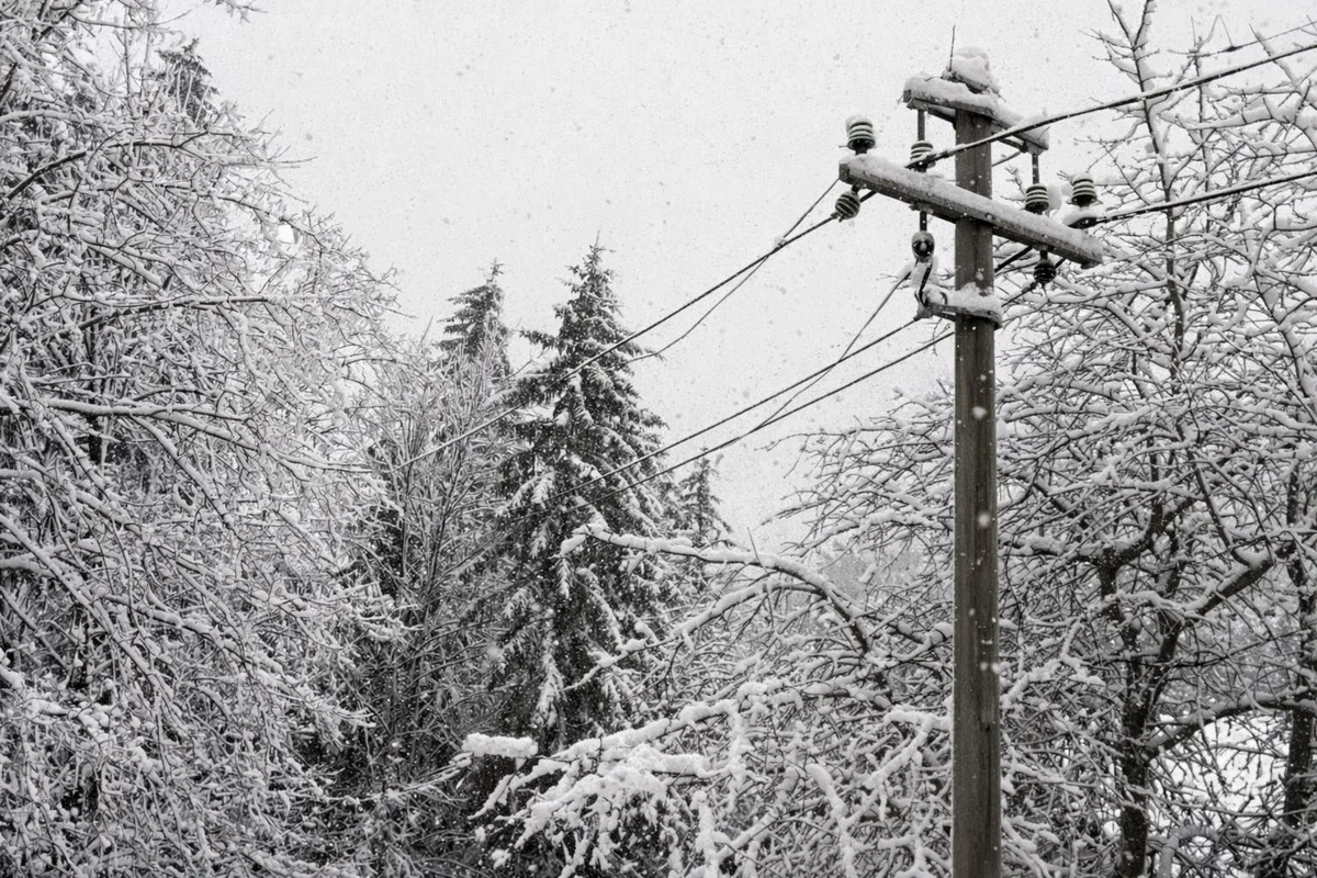 Zaradi sneženja izpadi elektrike tudi na območju Koroške 