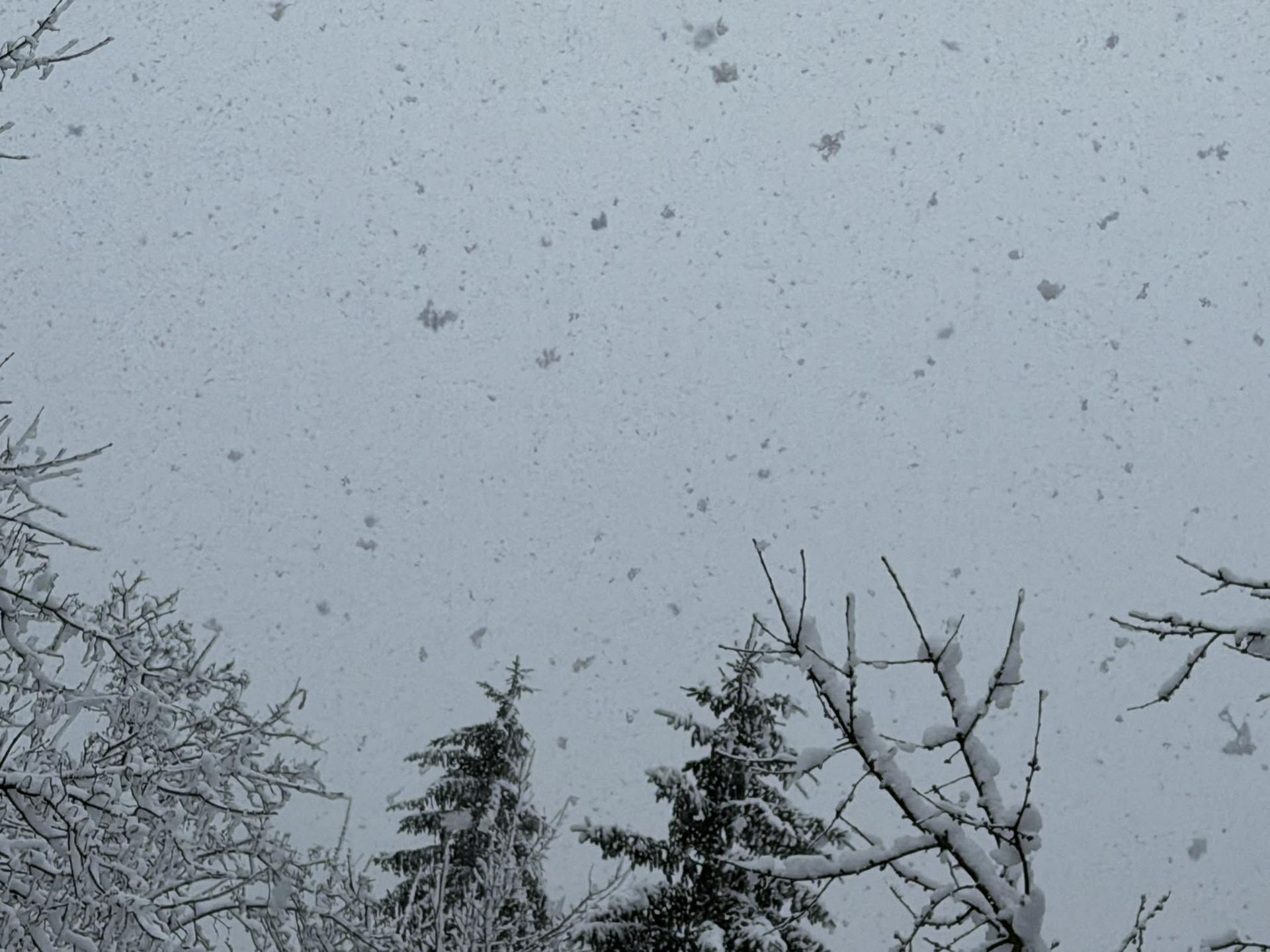 Vreme: Ponoči dež in sneg do nižin
