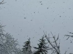 Vreme: Ponoči dež in sneg do nižin