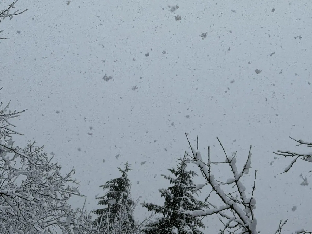 Vreme: Ponoči dež in sneg do nižin