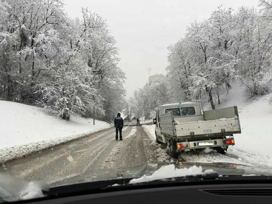 Na Čečovju podrto drevo ovira promet