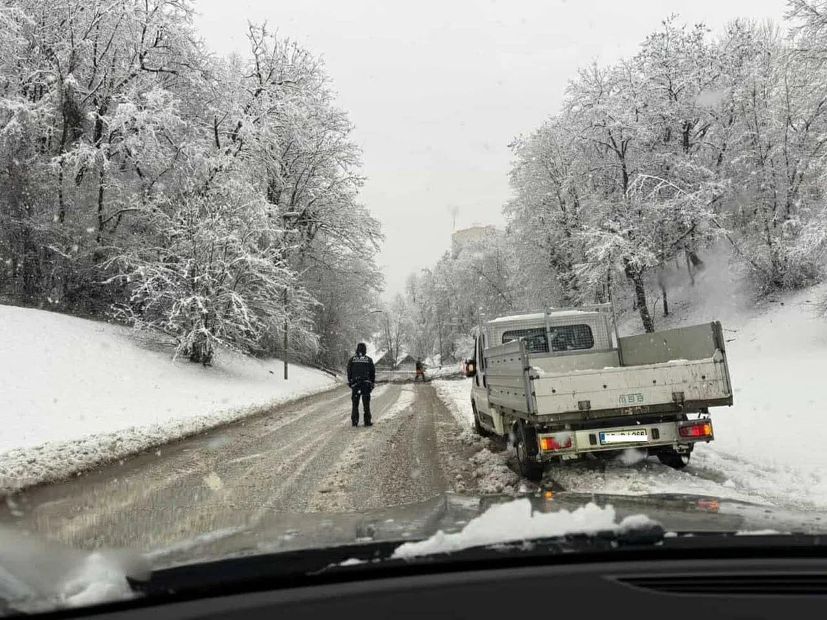 Na Čečovju podrto drevo ovira promet