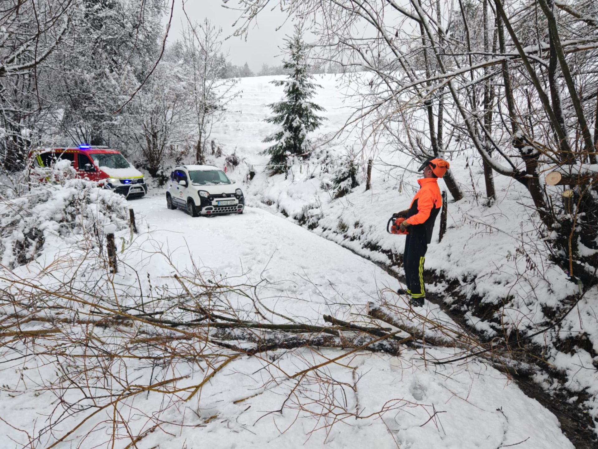 Težak sneg lomi drevje v gozdovih, nevarnosti še ni konec 