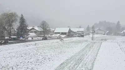 Previdno: V Stražah dve vozili zdrsnili s ceste