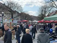 FOTO: Sonce in Jožefov sejem v središče Slovenj Gradca privabila številne obiskovalce