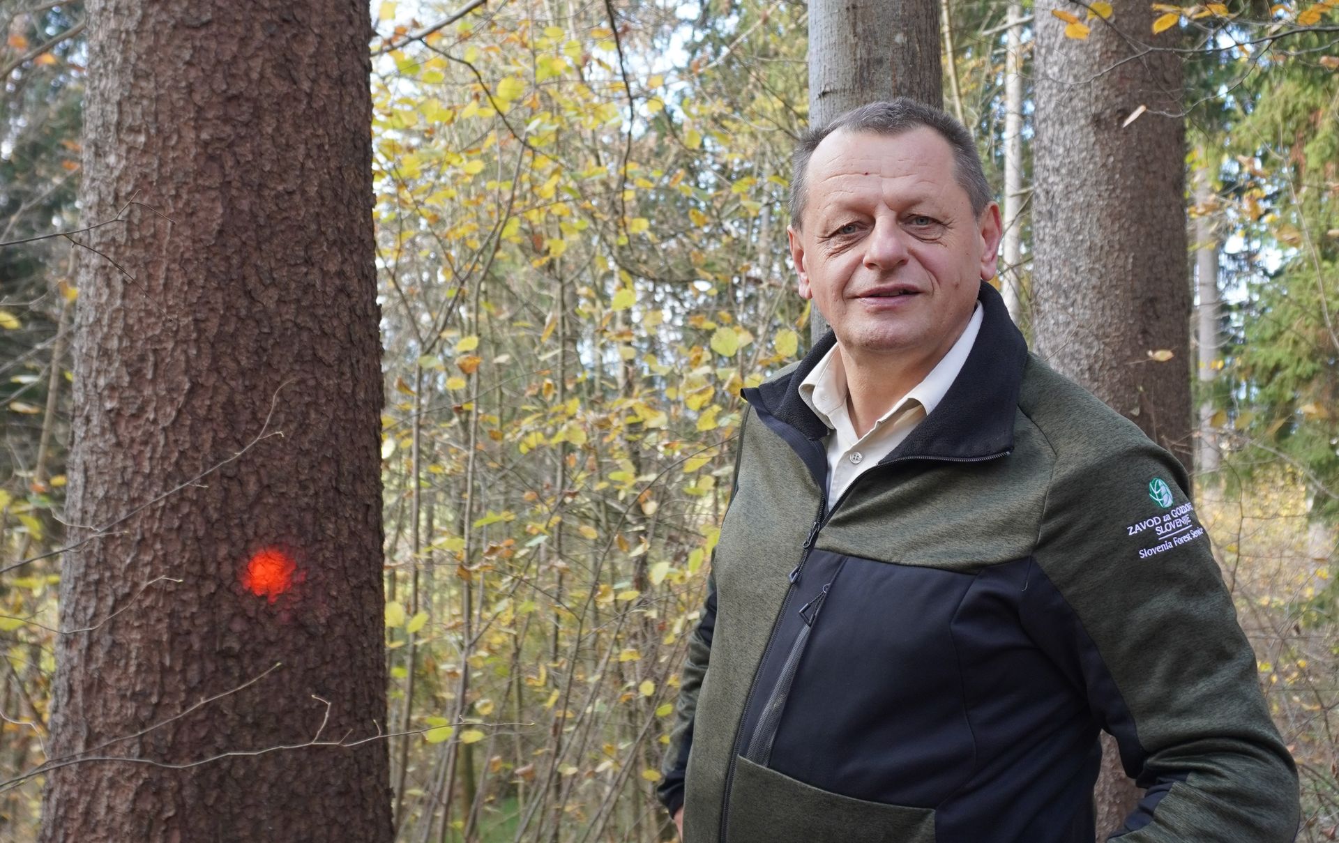 Avgust Kunc: Lastniki gozdov redno pregledujte gozdove in sodelujte z ZGS