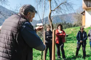 V sadovnjaku pri Prežihovi bajti tudi letos delavnica obreza sadnega drevja