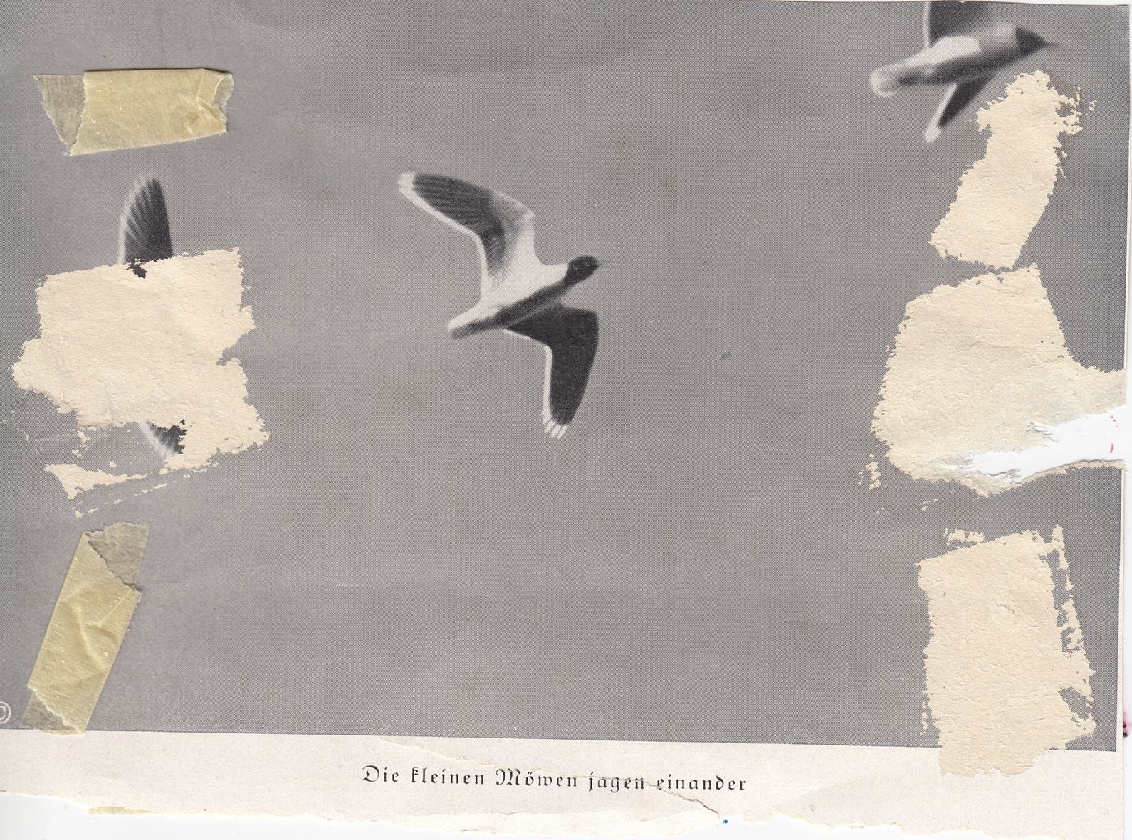 Tadej Vaukman bo gostoval v slovenjgraški galeriji raum AU