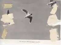 Tadej Vaukman bo gostoval v slovenjgraški galeriji raum AU