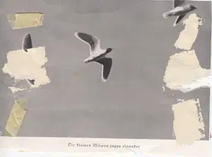 Tadej Vaukman bo gostoval v slovenjgraški galeriji raum AU