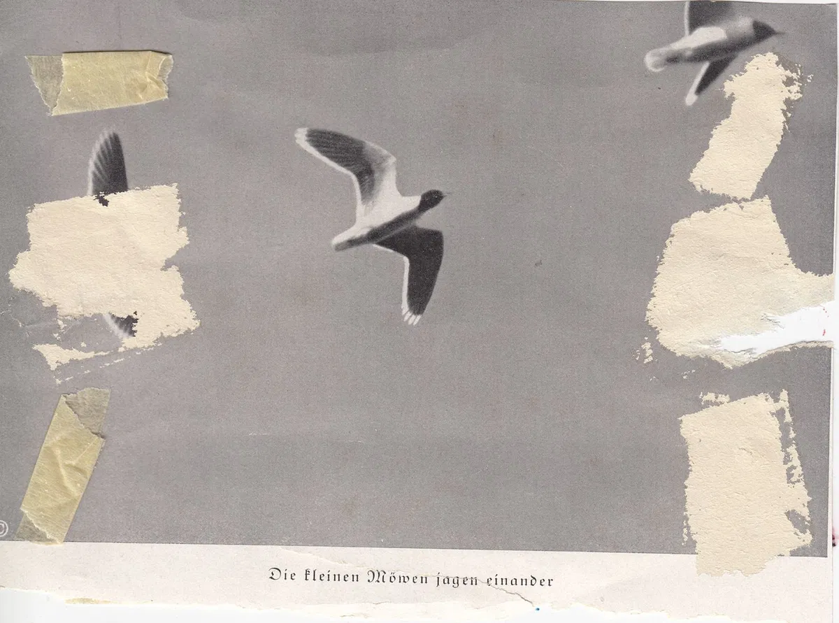 Tadej Vaukman bo gostoval v slovenjgraški galeriji raum AU