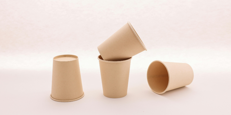 Papirnati kozarci za enkratno uporabo – vodič