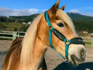 Cross Country Club Legen to soboto vabi na dan odprtih vrat