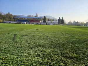Na stadionu na Ravnah danes položili travo (FOTO)