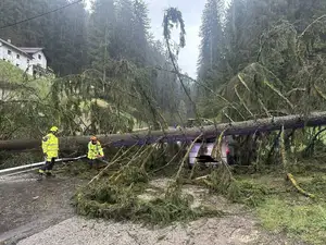 Neurje klestilo po Koroški: Drevo padlo na vozilo na Prevaljah