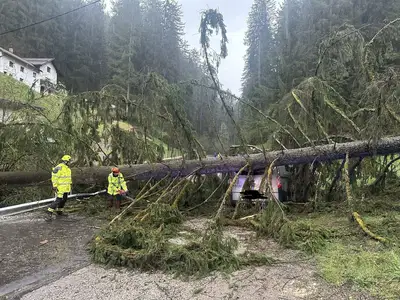 Neurje klestilo po Koroški: Drevo padlo na vozilo na Prevaljah
