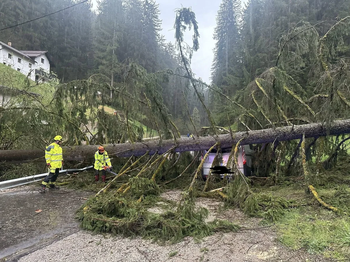 Neurje klestilo po Koroški: Drevo padlo na vozilo na Prevaljah