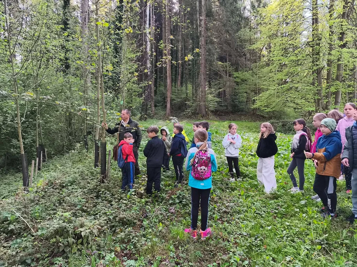 (FOTO) Gozdna učna pot na Štokoglu v Vuzenici zaživela ob dnevu Zemlje