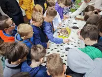 Ob Dnevu Zemlje ozelenela Partizanska ulica na Ravnah