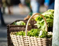 Sejem sadik in cvetja bo združil ljubitelje domačega v Mislinja