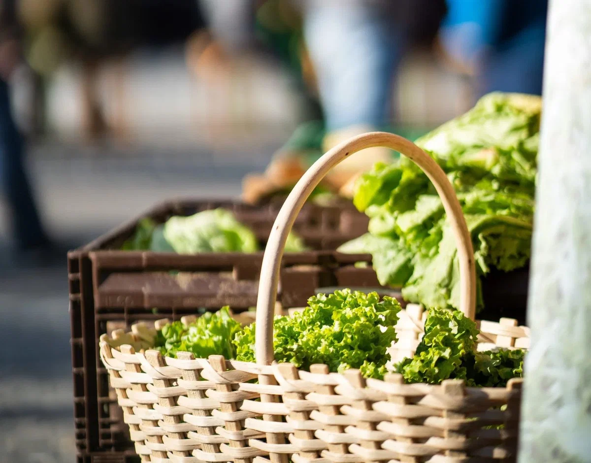 Sejem sadik in cvetja bo združil ljubitelje domačega v Mislinja
