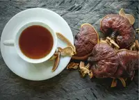 Medicinske gobe: Zakaj tisočletna tradicija doživlja svetovni preporod