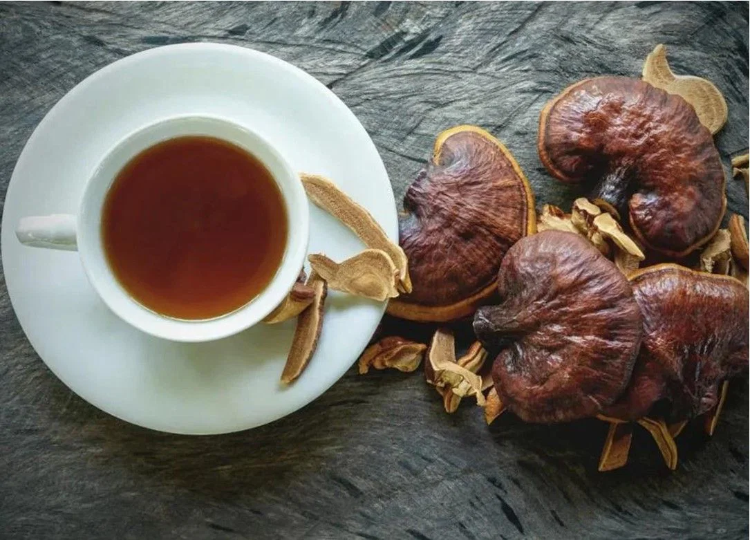 Medicinske gobe: Zakaj tisočletna tradicija doživlja svetovni preporod