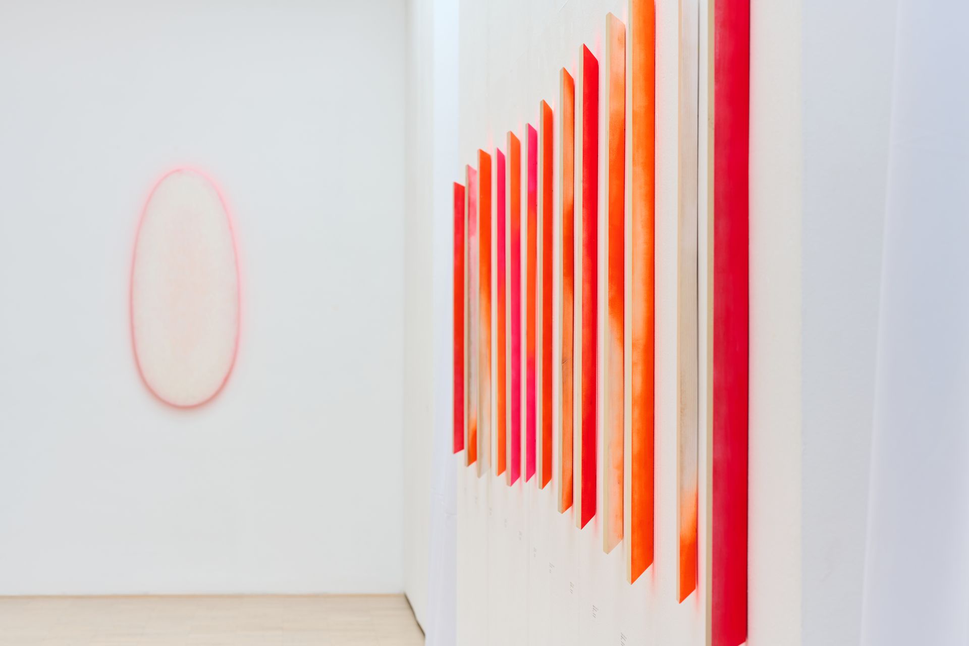 KGLU ob Dnevu Zemlje: V Slovenj Gradcu vodstvo po razstavi, na Ravnah ozelenitev ulice