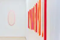 KGLU ob Dnevu Zemlje: V Slovenj Gradcu vodstvo po razstavi, na Ravnah ozelenitev ulice