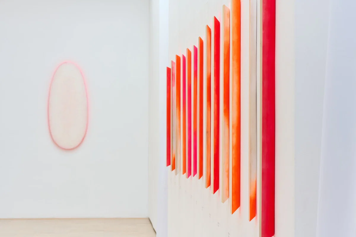 KGLU ob Dnevu Zemlje: V Slovenj Gradcu vodstvo po razstavi, na Ravnah ozelenitev ulice