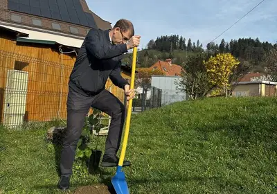  Župan Tomaž Rožen zasadil lipo ob Mestni tržnici 