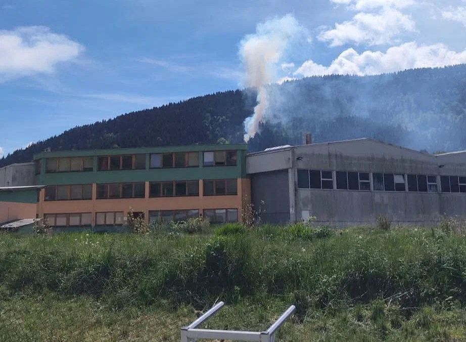 (VIDEO) Gasilci se borijo z ognjem, na območju Šentjanža gori gozd