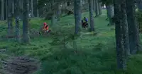 Zavod za gozdove poziva: Gozd ni igrišče za motorje