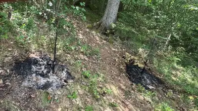 Zagorelo je na Javorniku, posredovali gasilci KGZ Ravne