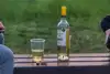 NIJZ mladim priporoča, naj ne pijejo alkohola 