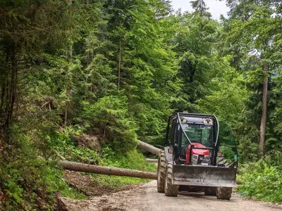 V naslednjem tednu zapora ceste na območju Navrškega Vrha zaradi sanitarne sečnje