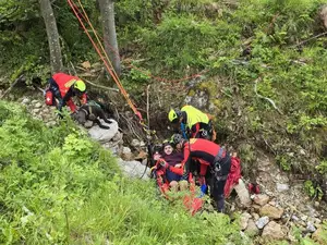 Policija: Pred obiskom gora se ustrezno pripravite in izbirajte poti, primerne vašim zmogljivostim