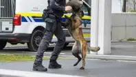Incident pri PP Dravograd: Občan po ugrizu policijskega psa poiskal zdravniško pomoč