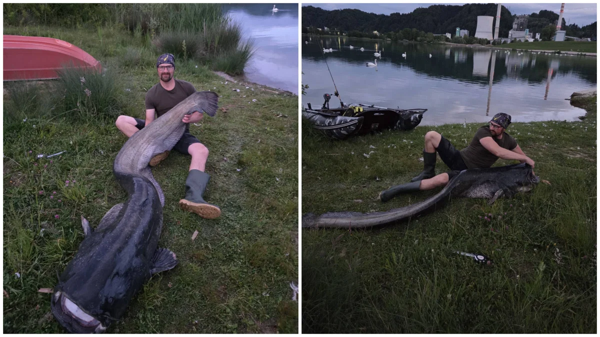 (FOTO in VIDEO) Izjemen ulov: Koroški ribič sam proti velikanu iz Družmirskega jezera