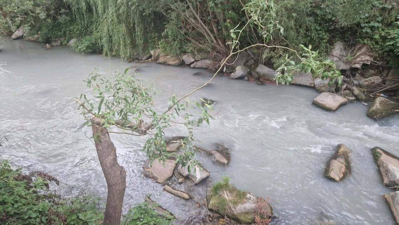 Reka Mislinja znova onesnažena, Koroška ribiška družina zaskbljena (FOTO)
